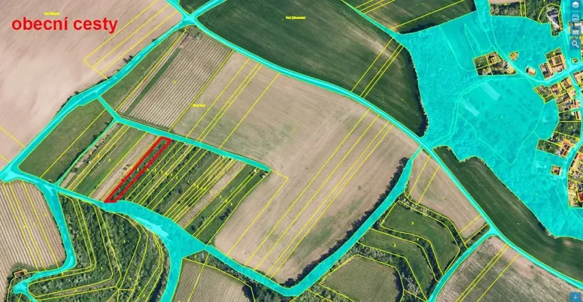 Prodej sadu/vinice, Nikolčice, 2568 m2