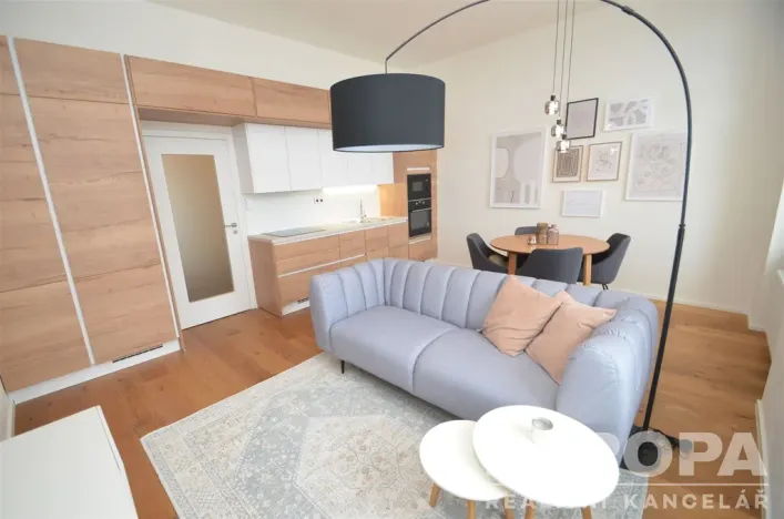 Pronájem bytu 2+kk, Praha - Karlín, Peckova, 55 m2