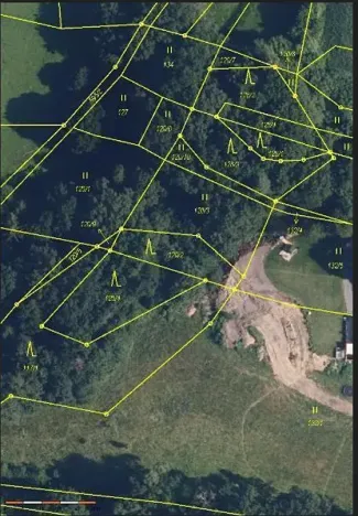 Prodej lesa, Nemile, 323 m2