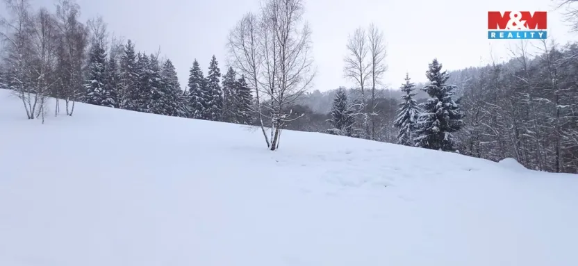 Prodej pozemku, Dlouhý Most, 8531 m2