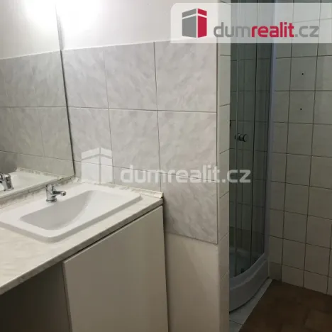 Pronájem bytu 1+kk, Praha - Karlín, Šaldova, 25 m2