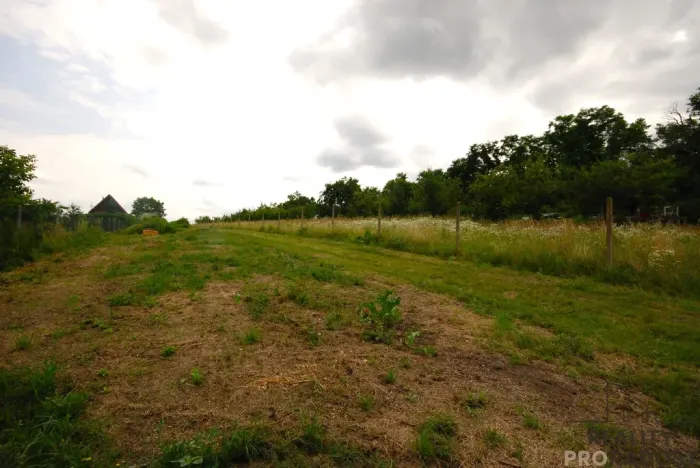 Prodej pozemku pro bydlení, Lednice, 1992 m2