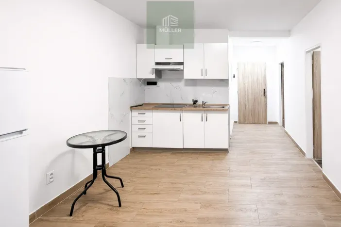 Pronájem bytu 3+1, Plzeň - Jižní Předměstí, náměstí T. G. Masaryka, 57 m2