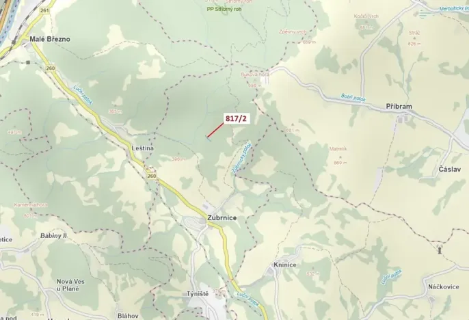 Dražba lesa, Zubrnice, 815 m2