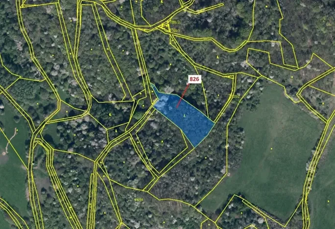 Dražba lesa, Zubrnice, 4610 m2