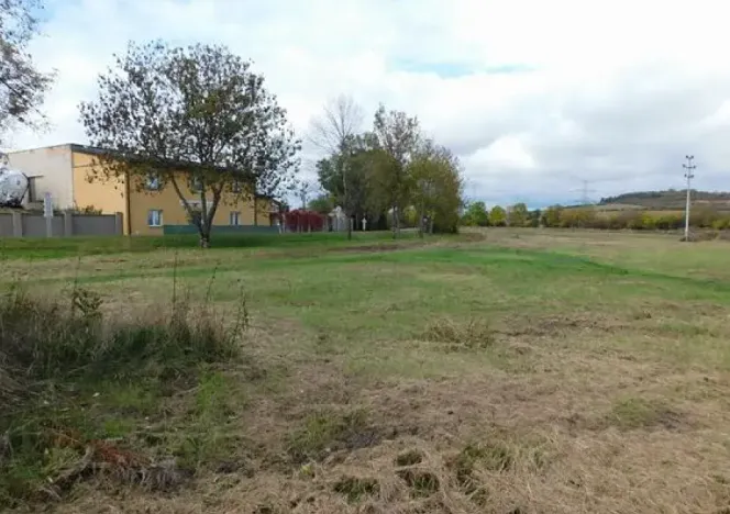 Dražba pole, Úžice, 24777 m2