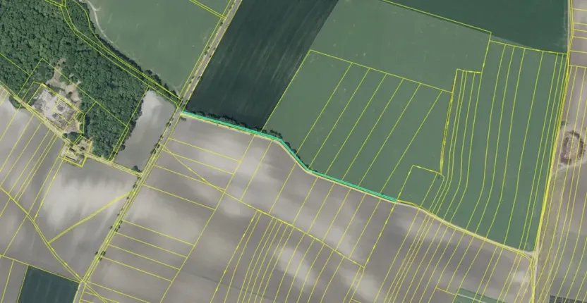 Dražba pole, Chotěšov, 7368 m2