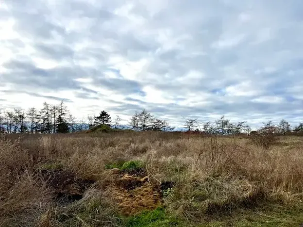 Prodej zahrady, Nové Strašecí, Sukova, 934 m2