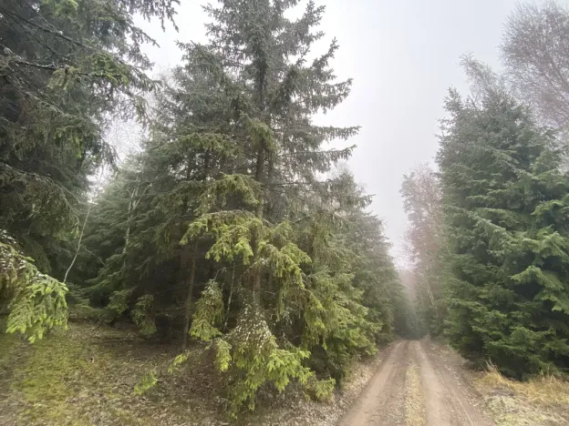 Prodej lesa, Městečko Trnávka - Lázy, 32904 m2