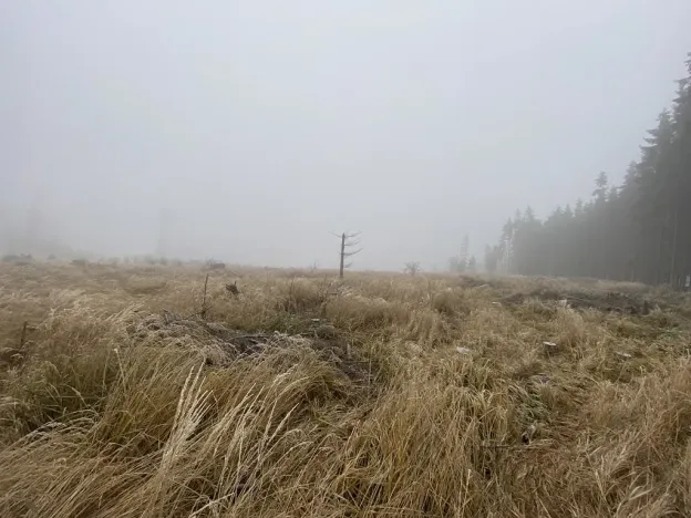 Prodej lesa, Městečko Trnávka - Lázy, 32904 m2