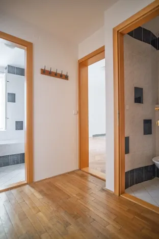 Pronájem bytu 2+kk, Brno - Brno-město, Panská, 70 m2