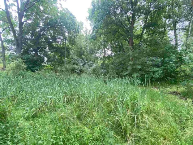 Prodej pozemku, Březová, 1993 m2