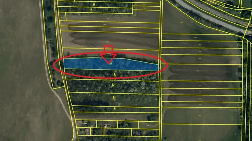 Prodej lesa, Mutěnice, 5100 m2