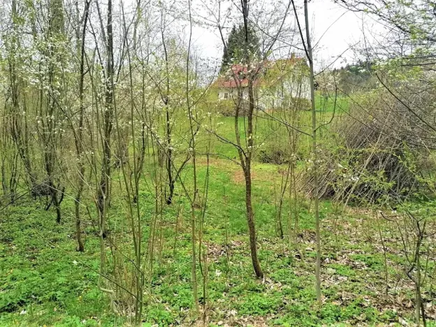 Prodej pozemku pro bydlení, Veselá, 170 m2