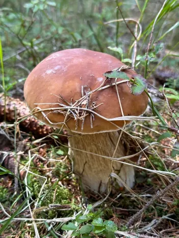 Prodej bytu 2+kk, Janov nad Nisou - Hrabětice, 47 m2