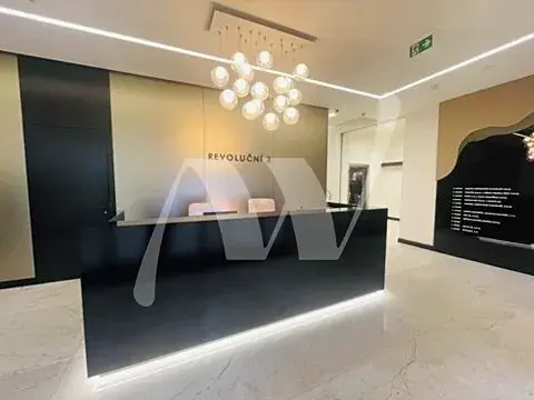 Pronájem kanceláře, Praha - Staré Město, Revoluční, 322 m2