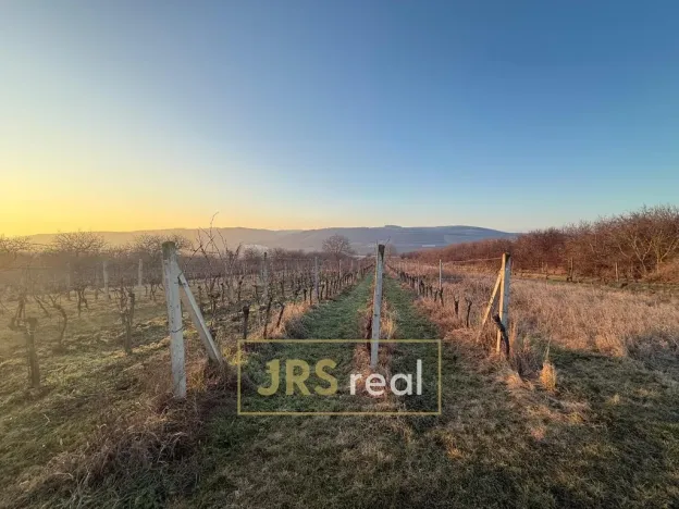 Prodej pozemku, Kobylí, 3139 m2