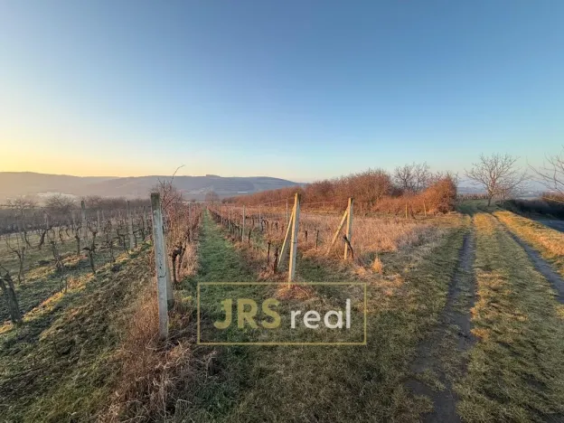 Prodej pozemku, Kobylí, 3139 m2