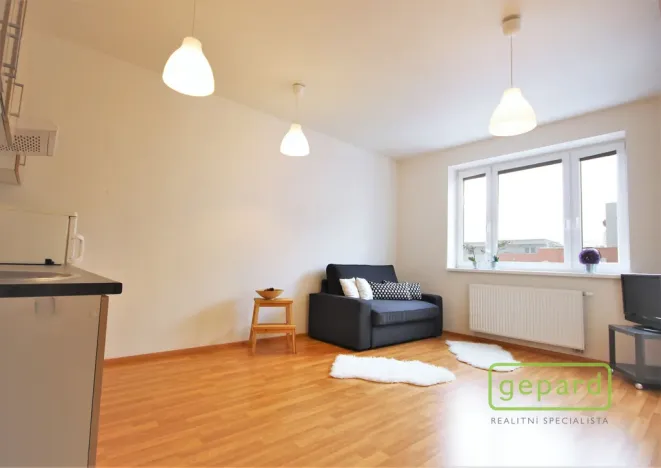 Pronájem bytu 1+kk, Brno - Žebětín, Říčanská, 30 m2