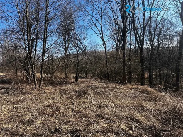 Prodej pozemku pro bydlení, Budišov nad Budišovkou - Guntramovice, 556 m2