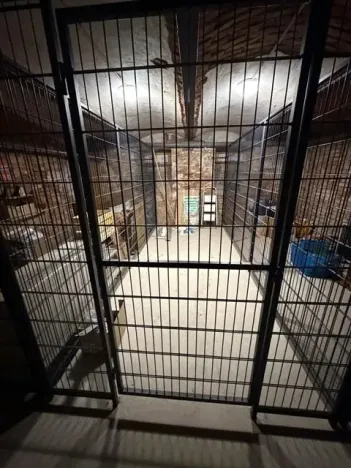 Prodej bytu 3+kk, Stěžery, Zámecká, 64 m2