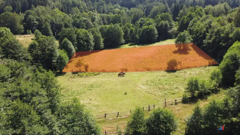 Prodej pozemku pro bydlení, Olešnice v Orlických horách, 3027 m2