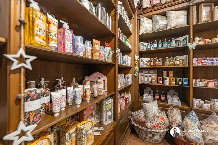 Prodej vícegeneračního domu, Lázně Bělohrad, Lázeňská, 529 m2