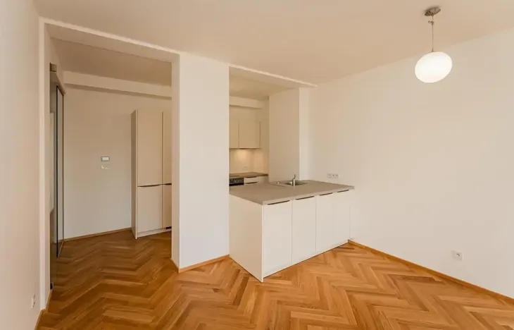 Pronájem bytu 3+kk, Praha - Žižkov, Seifertova, 85 m2