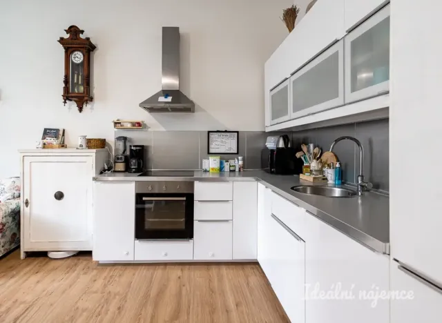 Pronájem bytu 2+kk, Praha - Karlín, Březinova, 50 m2