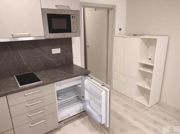 Pronájem bytu 1+kk, Olomouc, Wolkerova, 26 m2