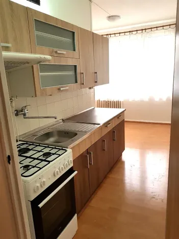 Pronájem bytu 1+1, České Budějovice, Plzeňská, 47 m2
