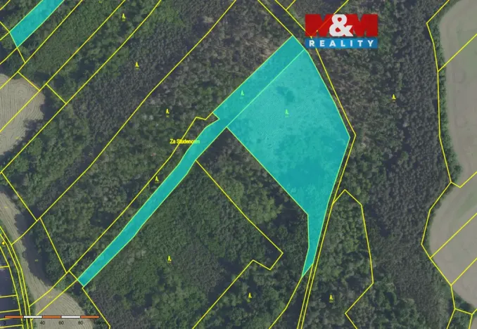 Prodej lesa, Svatý Mikuláš, 20624 m2