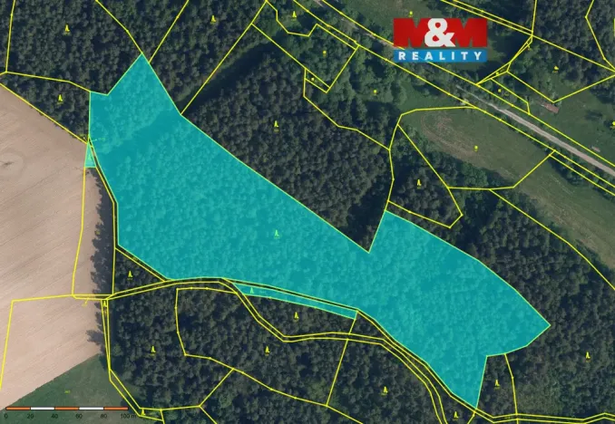 Prodej lesa, Bílá - Chvalčovice, 35696 m2