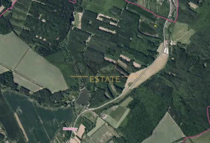 Prodej louky, Březolupy, 1729 m2