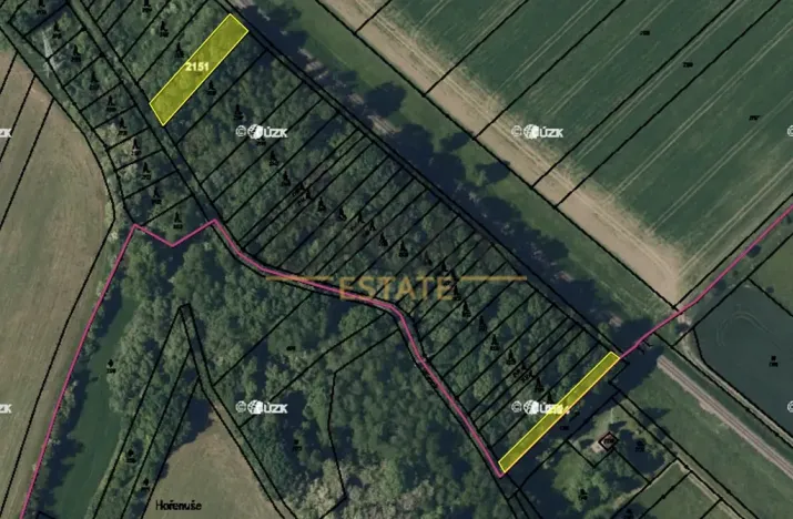 Prodej lesa, Bezměrov, 1621 m2