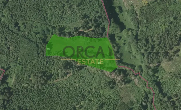 Prodej louky, Kolinec, 9891 m2