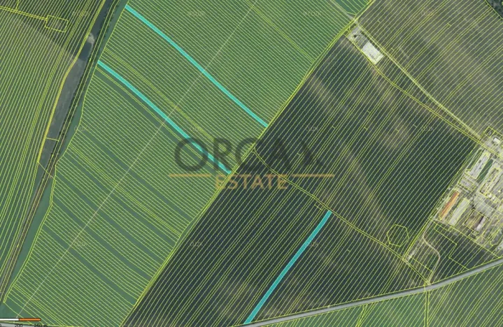 Prodej pole, Moravská Nová Ves, 13376 m2