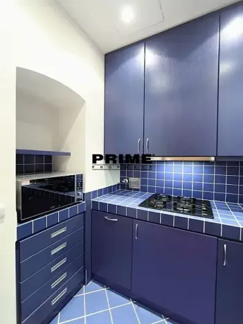 Pronájem bytu 2+1, Praha - Vinohrady, Anny Letenské, 54 m2