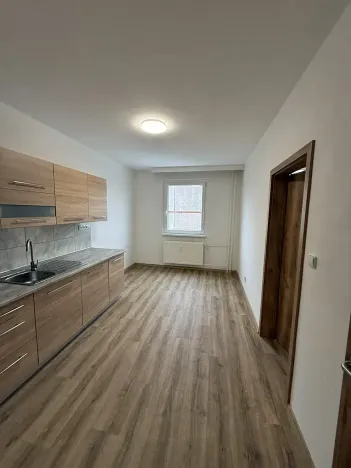 Pronájem bytu 4+1, Liberec, Dobiášova, 104 m2