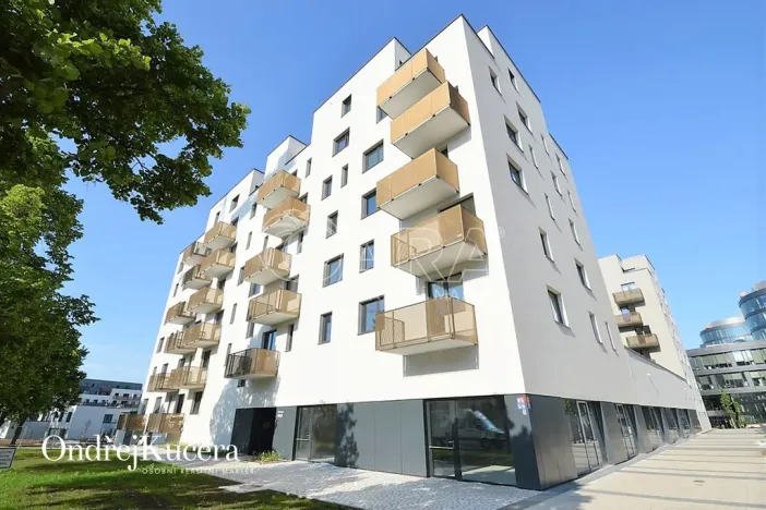 Pronájem bytu 1+kk, Praha - Jinonice, Barvitiova, 38 m2