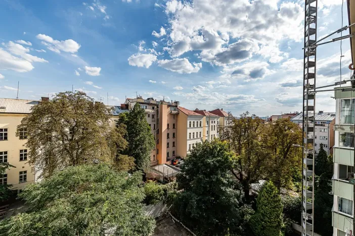 Pronájem bytu 2+kk, Praha - Vinohrady, Záhřebská, 78 m2