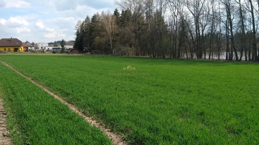 Prodej pozemku pro bydlení, Libuň, 4494 m2