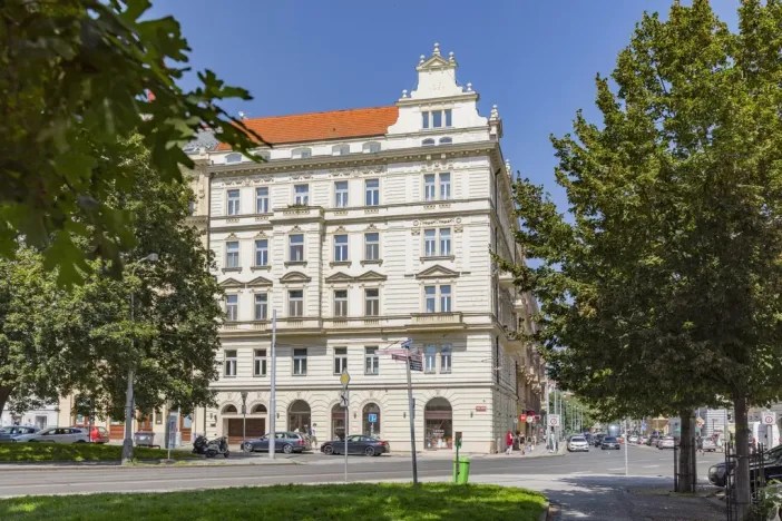 Pronájem bytu 5+1, Praha - Malá Strana, Újezd, 286 m2
