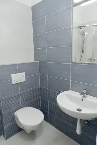 Pronájem bytu 2+kk, Praha - Žižkov, Fibichova, 60 m2