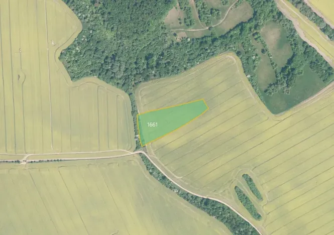 Prodej pole, Traplice, 4881 m2