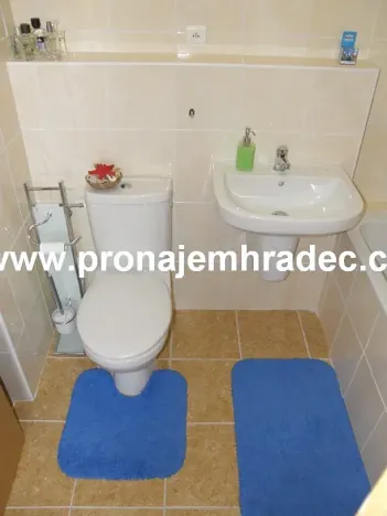 Pronájem bytu 2+kk, Hradec Králové, Kollárova, 56 m2