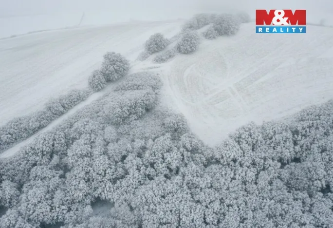 Prodej pole, Všestudy, 1578 m2