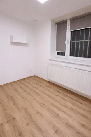 Pronájem bytu 1+1, Praha - Nusle, Družstevní, 38 m2