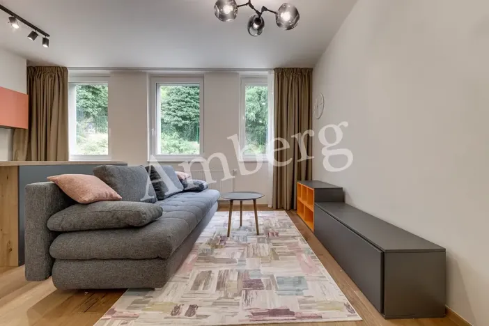 Pronájem bytu 1+kk, Praha - Vinohrady, Perucká, 26 m2