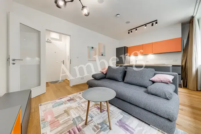 Pronájem bytu 1+kk, Praha - Vinohrady, Perucká, 26 m2